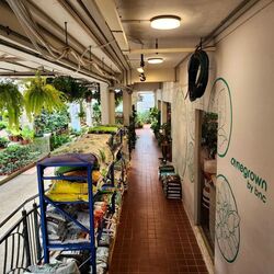 Kovan City (D19), Retail #569183701